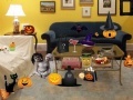 Žaidimas Halloween Room