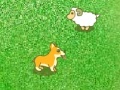 Žaidimas Dog and sheep