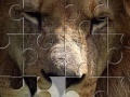 Žaidimas Lion Jigsaw