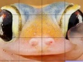 Žaidimas Pink frog slide puzzle