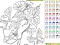 Žaidimas Kid's coloring: Flowers for Butterflies