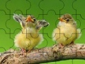 Žaidimas Two cute sparrow puzzle