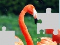 Žaidimas Flamingo puzzle