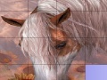 Žaidimas Slide Puzzle: Horse