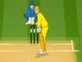 Žaidimas Cricket 2013