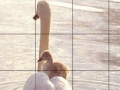 Žaidimas Cute swans slide puzzle