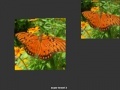 Žaidimas Orange Butterfly