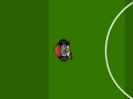 Žaidimas Penguin Soccer