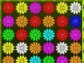 Žaidimas Flower Action Puzzle