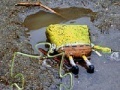 Žaidimas SpongeBob Found Dead Jigsaw Puzzle