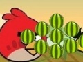 Žaidimas Angry Birds - cut the rope