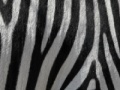 Žaidimas Jigsaw: Zebra Stripes