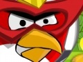 Žaidimas Angry Bird protect home