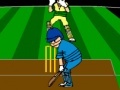Žaidimas Virtual Cricket