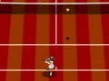 Žaidimas Tennis Tour