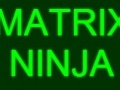 Žaidimas Matrix Ninja