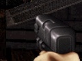 Žaidimas Duke Nukem: FPS