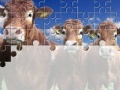 Žaidimas Gorgeous Cows Jigsaw