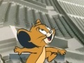 Žaidimas Tom and Jerry - road to Rio