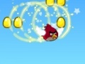 Žaidimas Angry birds: Rock bird