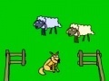 Žaidimas Sheep!