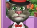 Žaidimas Tom Cat Role Experience
