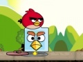 Žaidimas Angry birds. Find your partner
