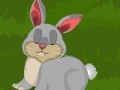 Žaidimas Dora Rabbit Care