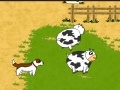 Žaidimas Piggy Cow