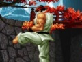 Žaidimas The king of the fighters. Wing V1.8