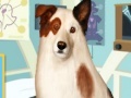 Žaidimas Eye Care Dog With A Blog