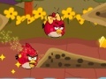 Žaidimas Angry birds water аdventure