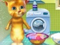 Žaidimas Ginger washing clothes