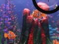 Žaidimas Finding Nemo hide and seek
