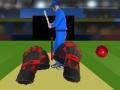 Žaidimas Cricket tap catch