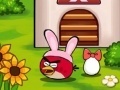 Žaidimas Angry Birds Egg Saving