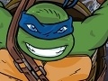 Žaidimas Teenage Mutant Ninja Turtles: Battle for New York