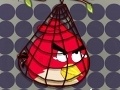 Žaidimas Surround Angry Bird