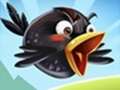 Žaidimas Crazy Birds 2