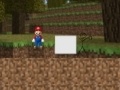 Žaidimas Mario Plays Minecraft