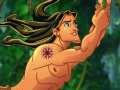 Žaidimas Tarzan jungle problems 