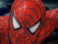 Žaidimas Spider-man 3: Rescue Mary Jane 
