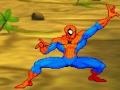 Žaidimas Spiderman: Hero Training 