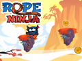 Žaidimas Rope Ninja 