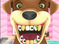Žaidimas Animal Dentist 