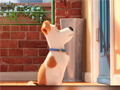 Žaidimas Hidden Letters in The Secret Life of Pets
