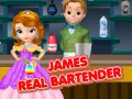 Žaidimas James Real Bartender