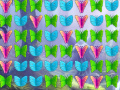 Žaidimas Butterfly Collector