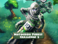 Žaidimas Motocross Forest Challenge 2
