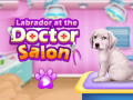 Žaidimas Labrador at the doctor salon    